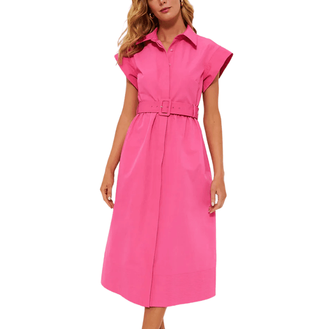 Tuckernuck Chloe Dress