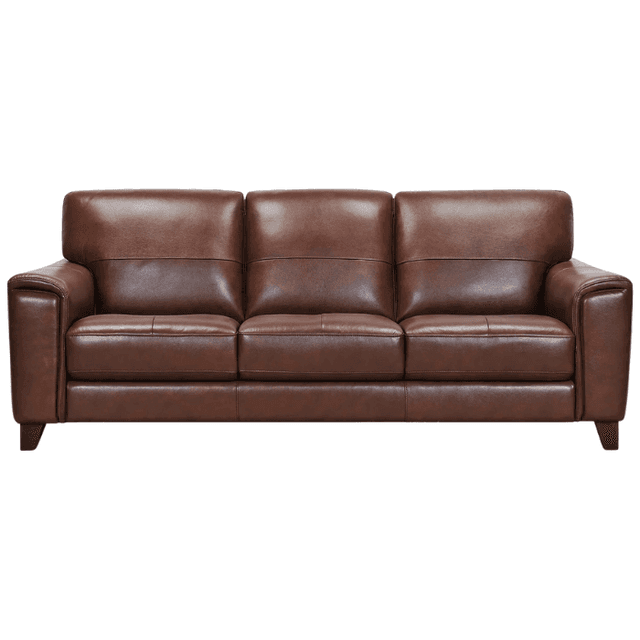 Furniture Brayna 88" Classic Leather Sofa