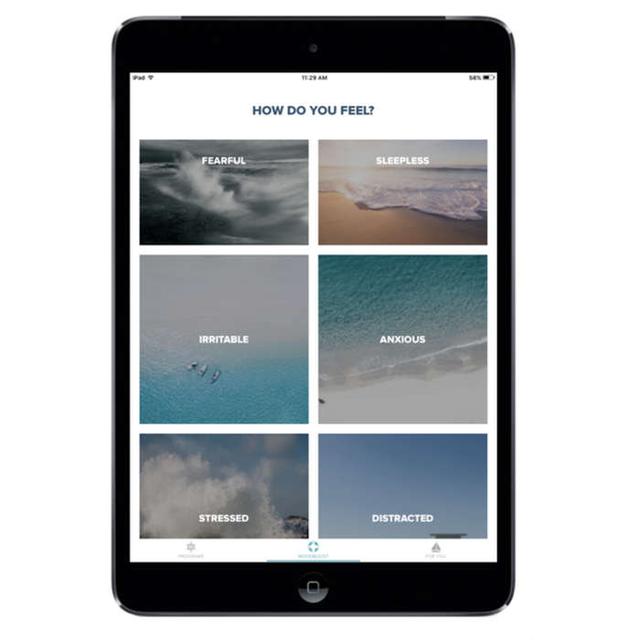 Mindsail App