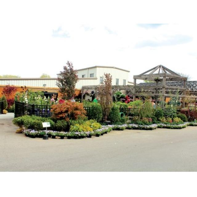 Family Tree Nursery