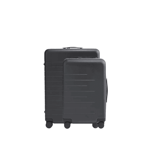 Carry-On & Medium Check-In Suitcase Bundle