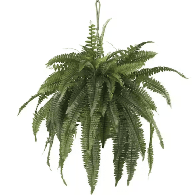 Nearly Natural Large Artificial Boston Fern Hanging Basket
