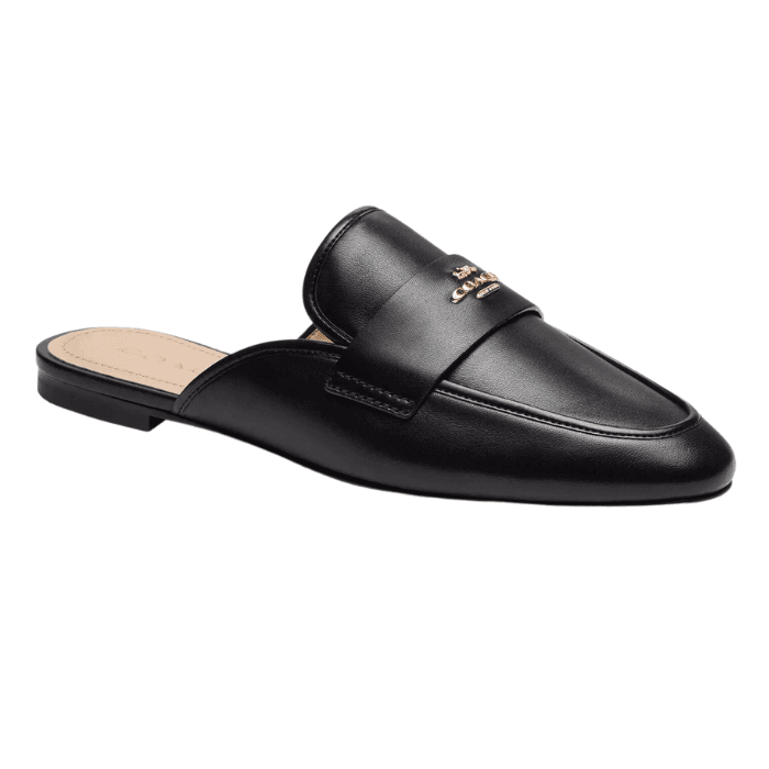 Image credits: coach