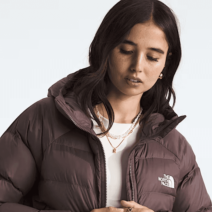 Image credits: the north face