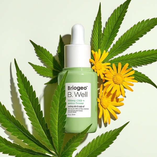 10 CBD Products That Have Taken The Beauty World By Storm