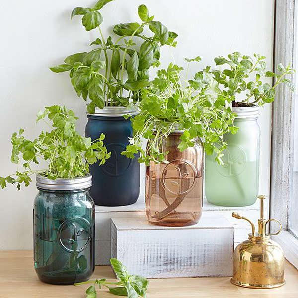 The Best Indoor Garden Kits For At-Home Plants And Herbs
