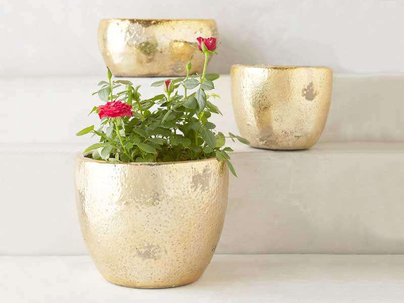 Add some green to your home with the help of these ten adorable planters