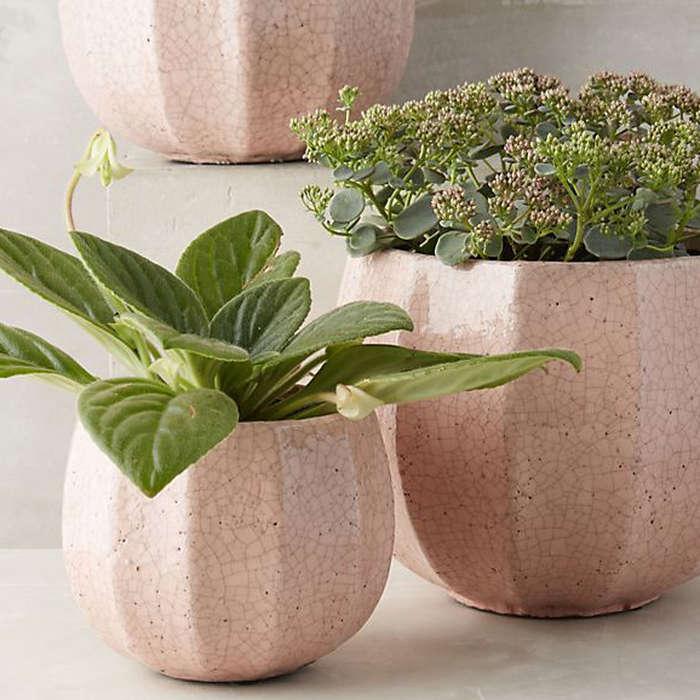 Anthropologie Ridged Terracotta Pot