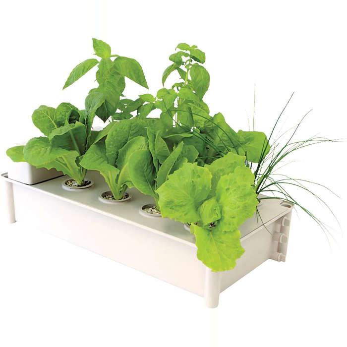 Hydrofarm Box Kit Hydroponic Salad Garden