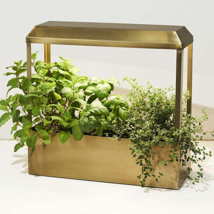 Modern Sprout Grow-Anywhere Growhouse