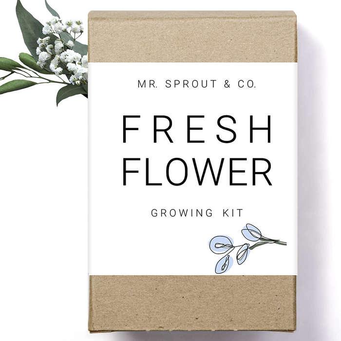 Mr. Sprout & Co. Flowers Seed Starter Kit