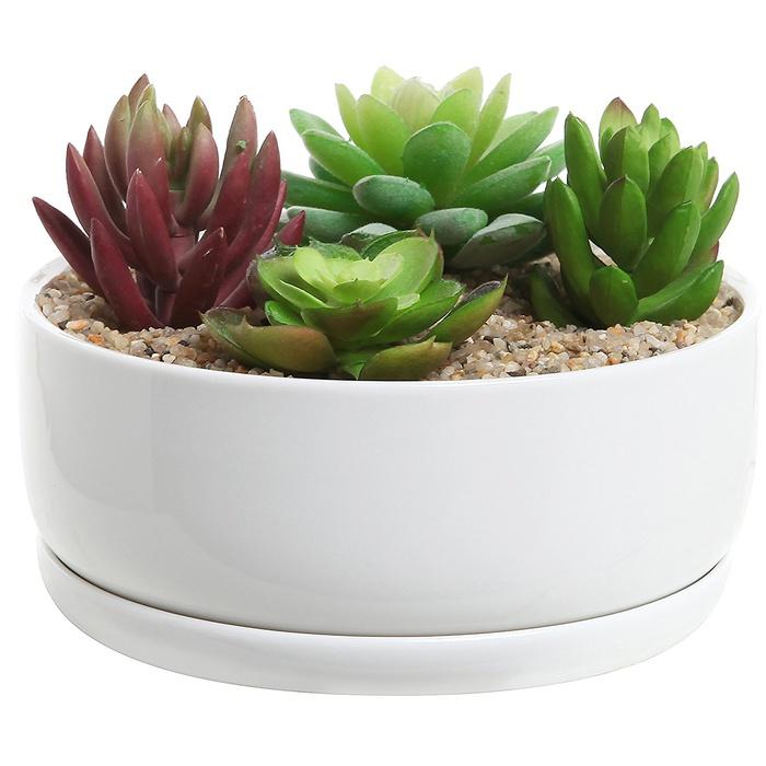 MyGift 6-Inch Modern White Ceramic Round Designer Succulent Planter
