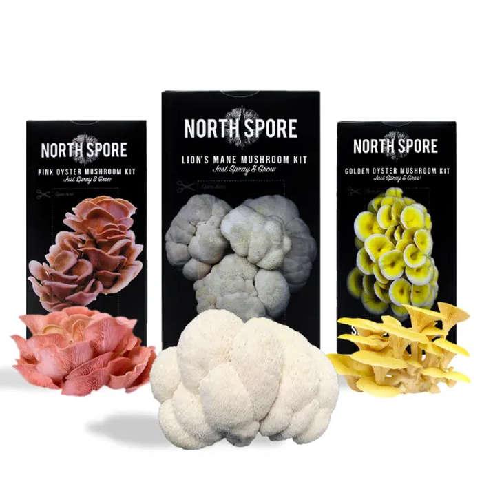 North Spore Spray & Grow Muschroom Growing Kit