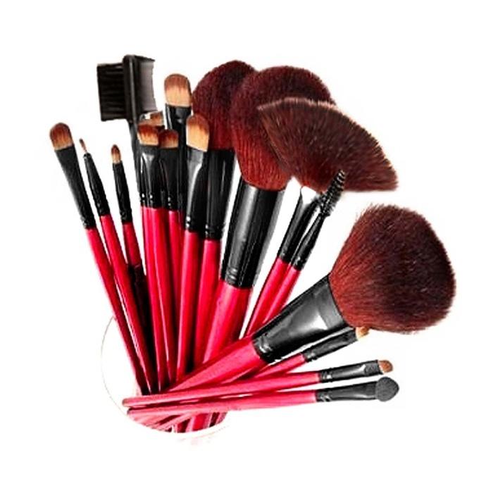 SHANY Professional 13-Piece Cosmetic Brush Set with Pouch