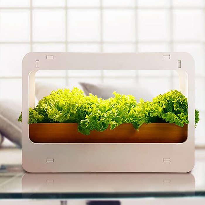 Torchstar Plant LED Kit Indoor Herb Grow Light