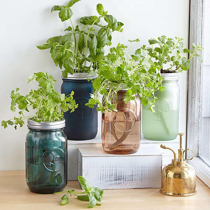 Uncommon Goods Mason Jar Indoor Herb Garden