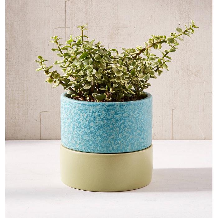 Urban Outfitters 6-Inch Planter and Drainage Tray Set