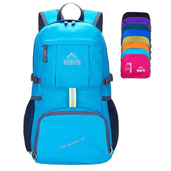 Venture Pal Lightweight Backpack
