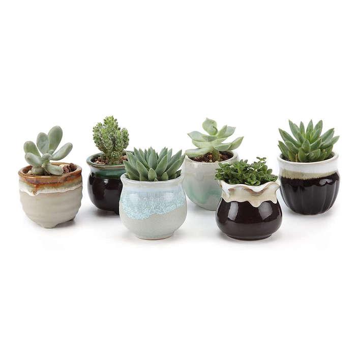 T4U Small Ceramic Succulent Pots
