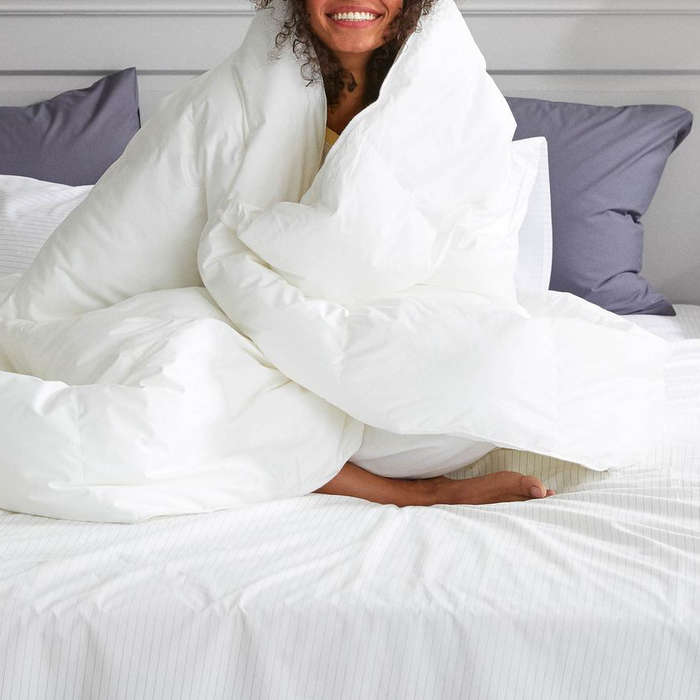 10 Best Down Comforters Rank Style