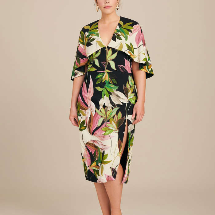 best plus size designers