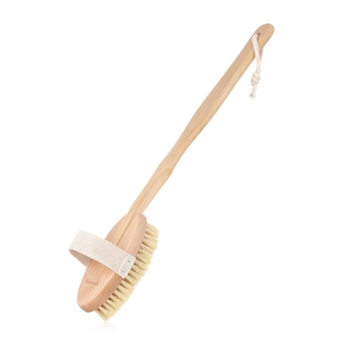 10 Best Dry Brushes Rank & Style