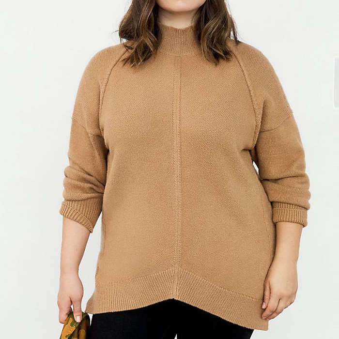 petite tunic sweaters