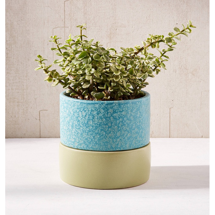 10 Best Planters Rank Style Urban Outers 6 Inch Planter And Drainage Tray Set